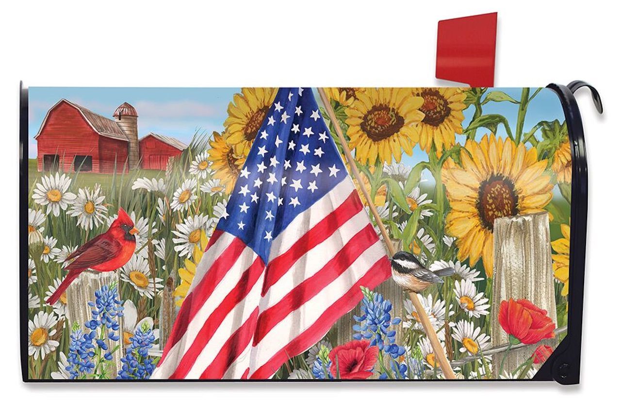 Foruidea Eagle American Flag Mailbox Covers Magnetic Mailbox Wraps Patriotic Post Letter Box Cover Standard Oversize 21 X 18 Makover MailWrap Garden Home Decor 